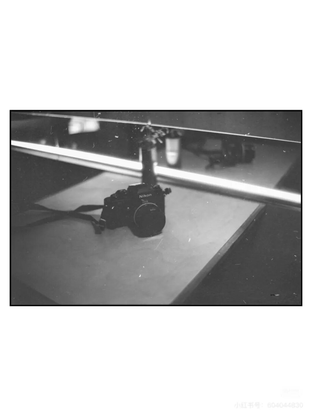 胶片漫谈｜都2025年了，关于胶片摄影拍什么？插图1