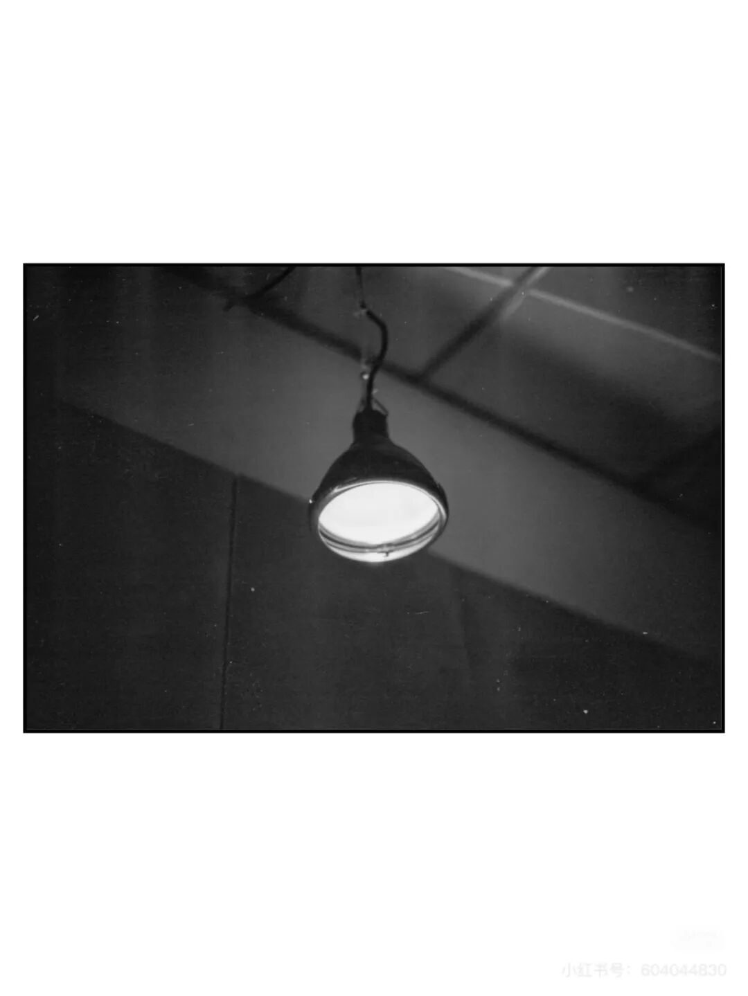 胶片漫谈｜都2025年了，关于胶片摄影拍什么？插图