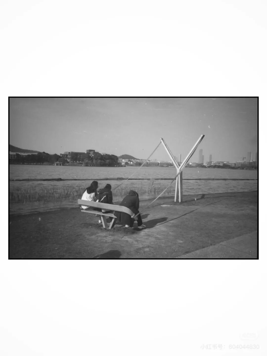 胶片漫谈｜都2025年了，为什么我还在拍胶卷插图