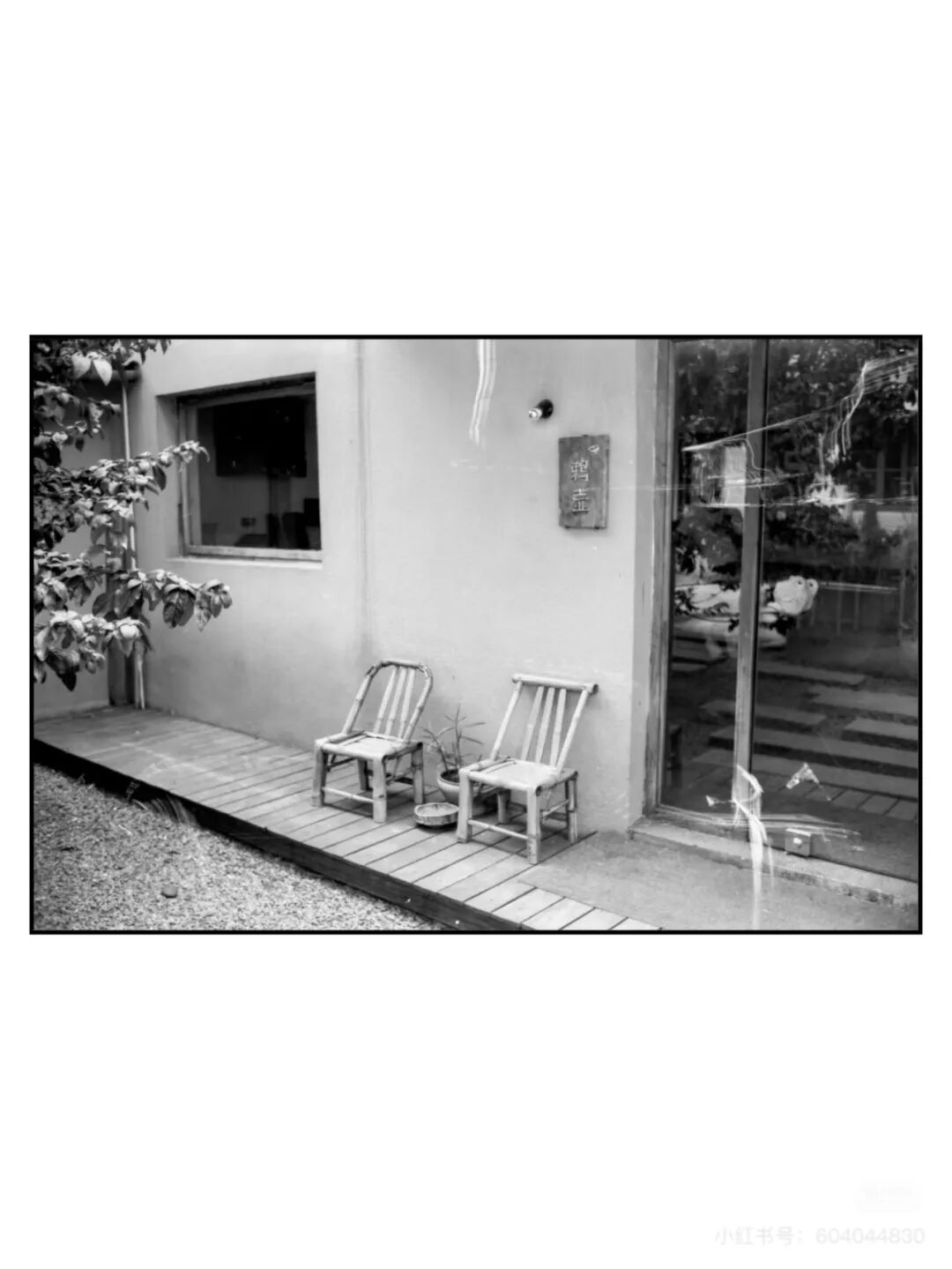 胶片漫谈｜都2025年了，谈谈我的胶片相机选择插图1