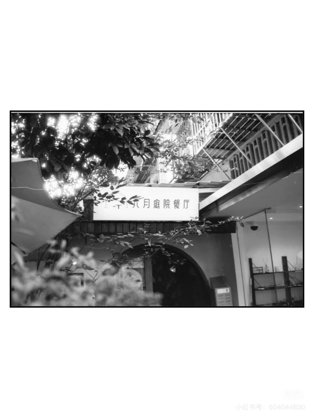 胶片漫谈｜关于胶片冲洗这点事插图3