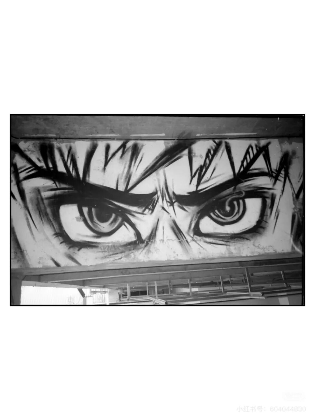 胶片漫谈｜都2025年了，为什么我还在拍胶卷插图1