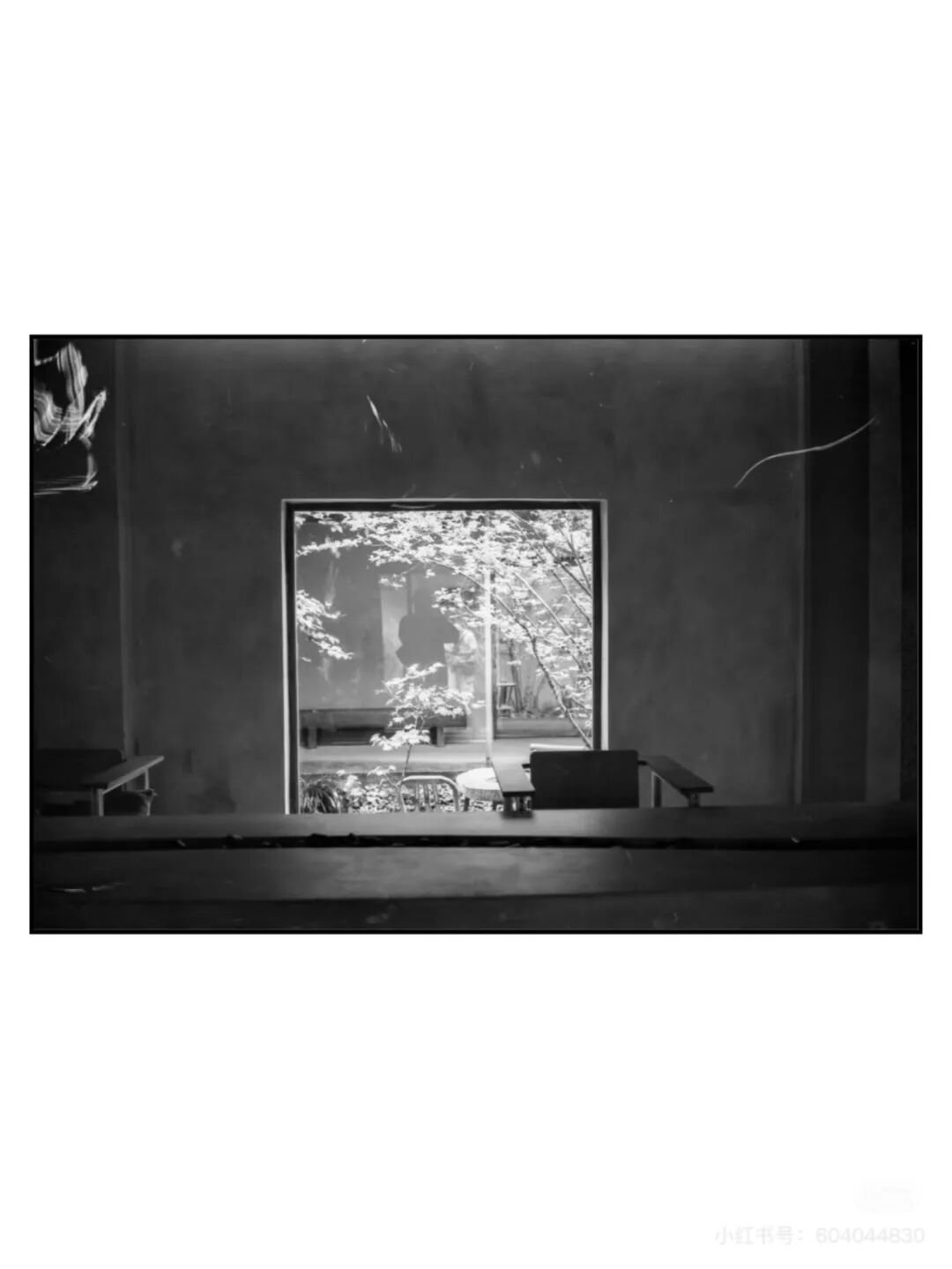 胶片漫谈｜你们拍胶片用什么镜头？我是这样插图1