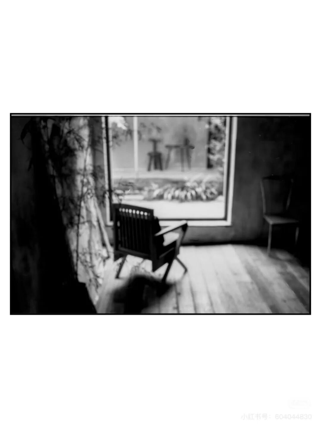 胶片漫谈｜你们拍胶片用什么镜头？我是这样插图