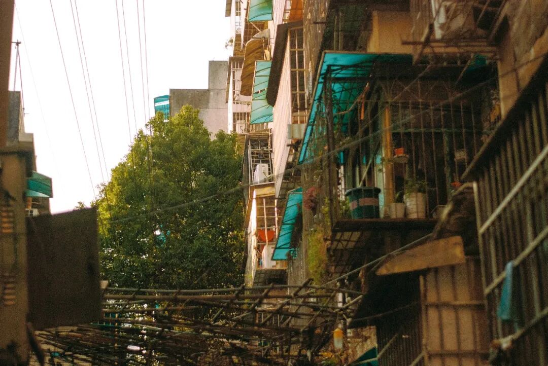 扫街日志 | 长沙裕南街：藏着老长沙的烟火与停下来的时光插图4