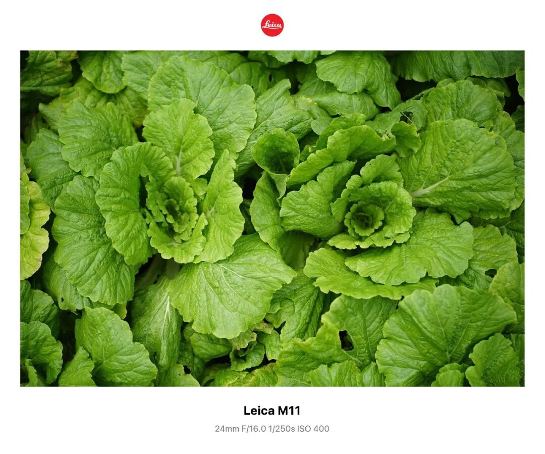 告别千篇一律！3 个小技巧，让你的摄影照片自带 “专属记忆点”插图1