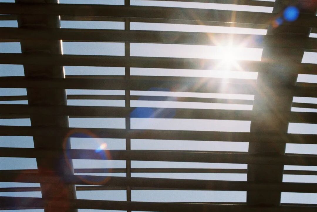 胶片的味道 | 佳能AE-1带来的胶片复古感插图7