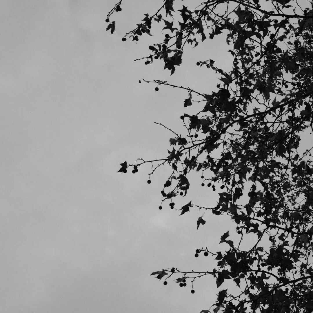 胶片漫谈 | 自从用上了富士ACROS胶片模拟，我再也不想洗黑白胶卷了！插图11