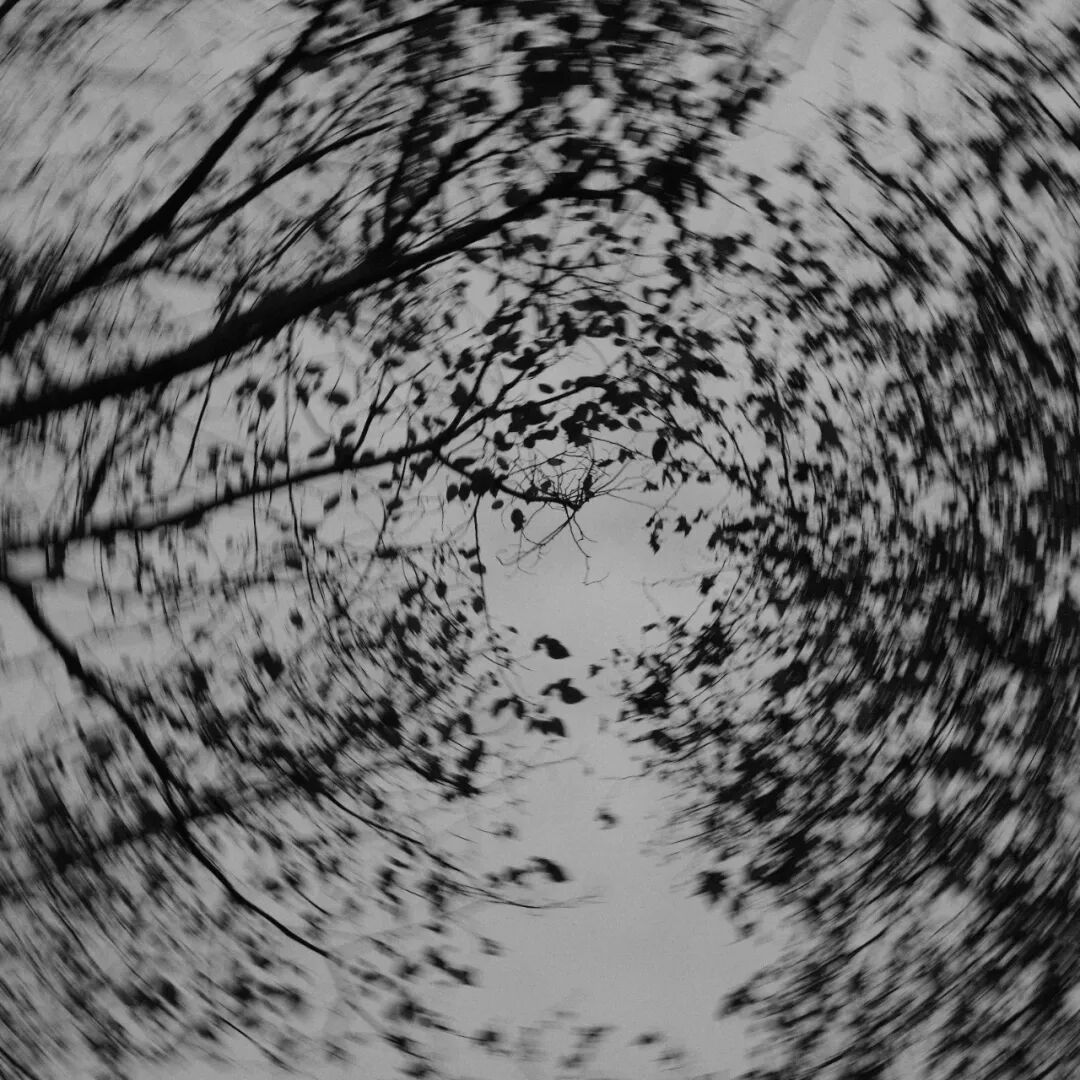 胶片漫谈 | 自从用上了富士ACROS胶片模拟，我再也不想洗黑白胶卷了！插图8