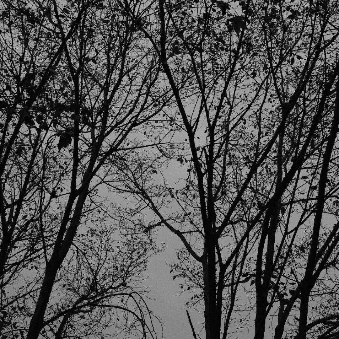 胶片漫谈 | 自从用上了富士ACROS胶片模拟，我再也不想洗黑白胶卷了！插图14