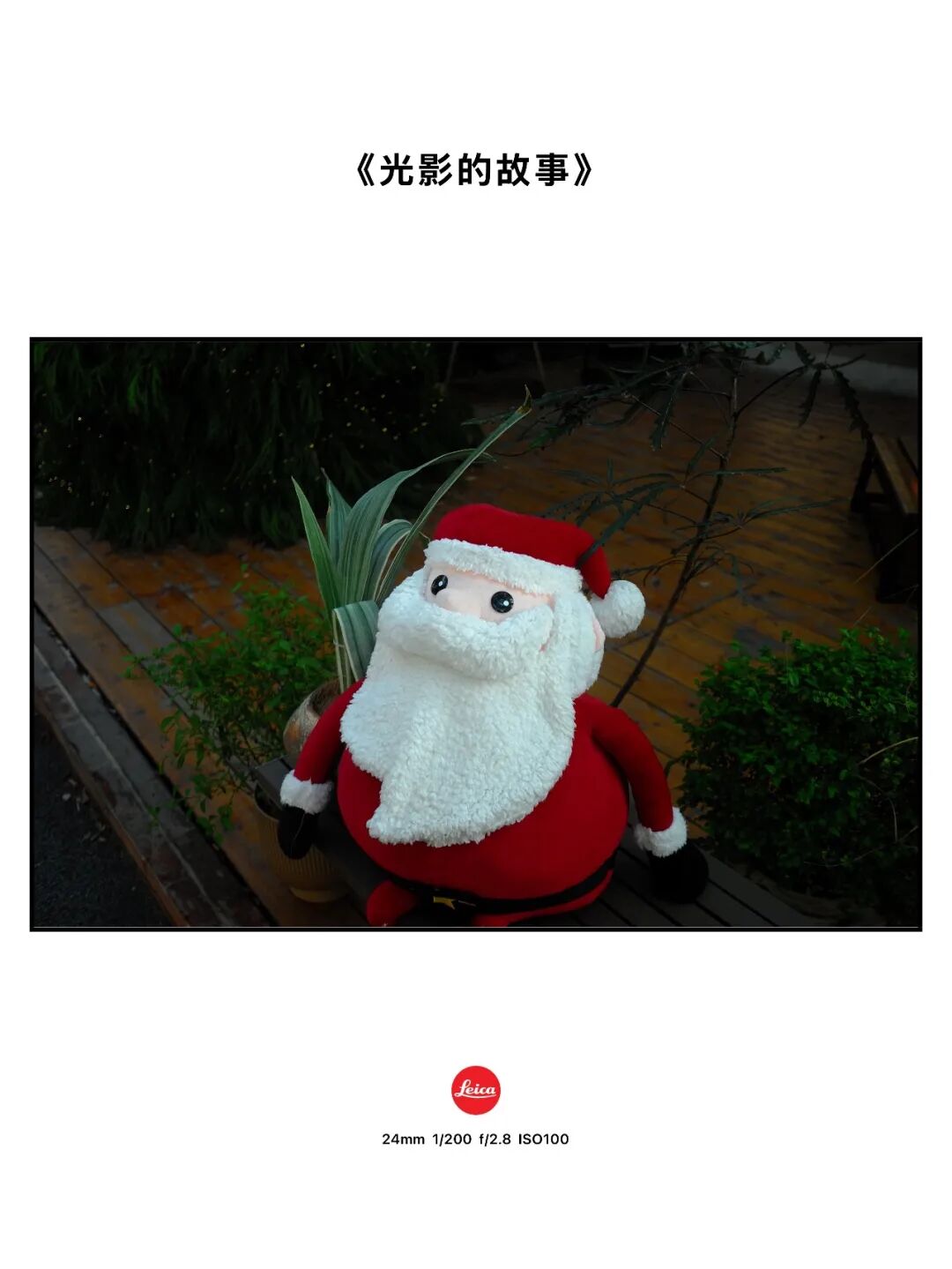 摄影漫谈 | 徕卡的色彩是个玄学吗？插图11