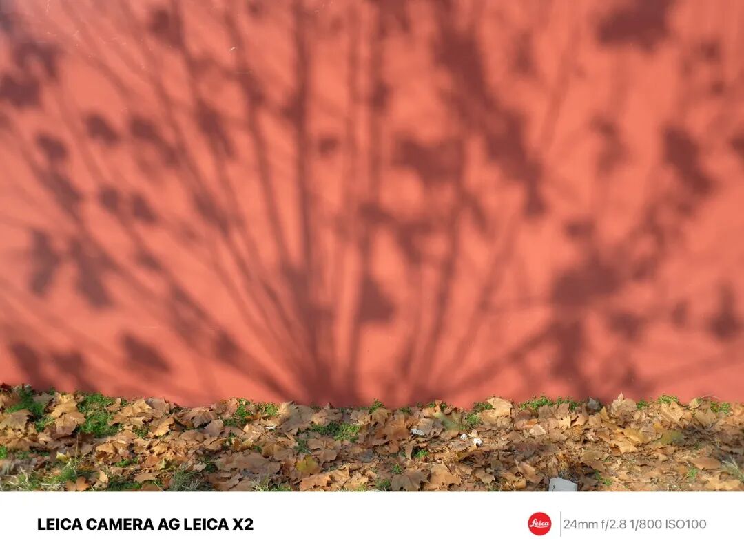 摄影漫谈 | 摄影，到底要不要讲究构图好看？插图9