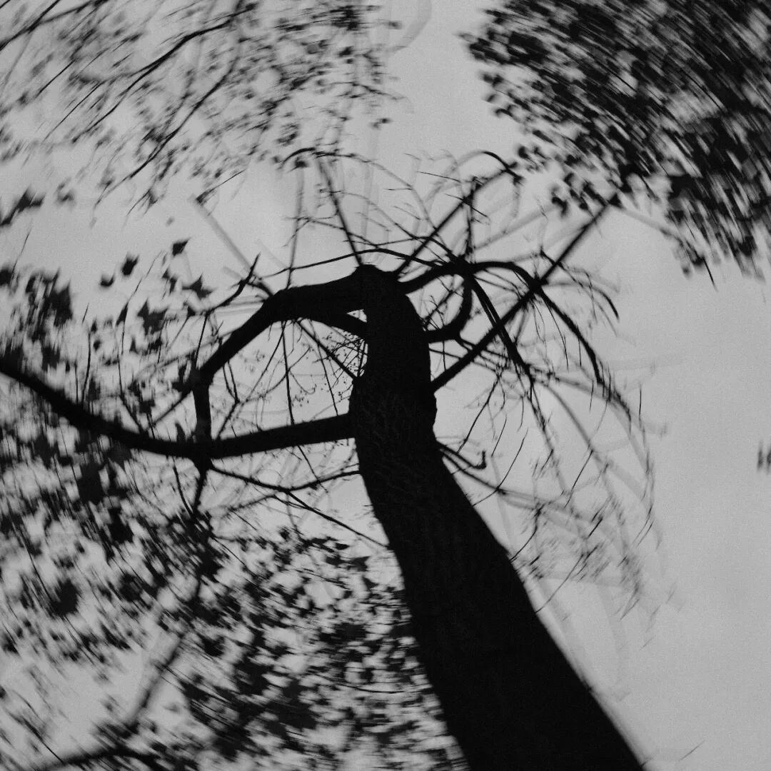 胶片漫谈 | 自从用上了富士ACROS胶片模拟，我再也不想洗黑白胶卷了！插图6