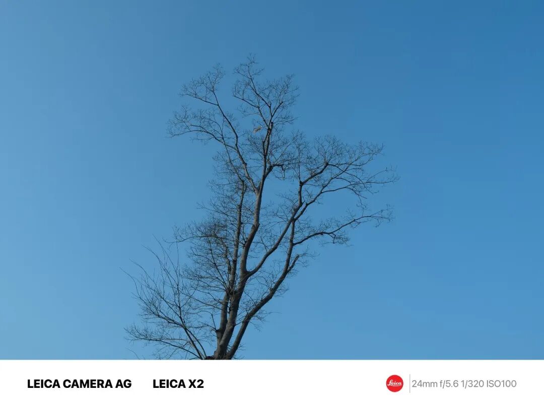 摄影漫谈 | 摄影，到底要不要讲究构图好看？插图