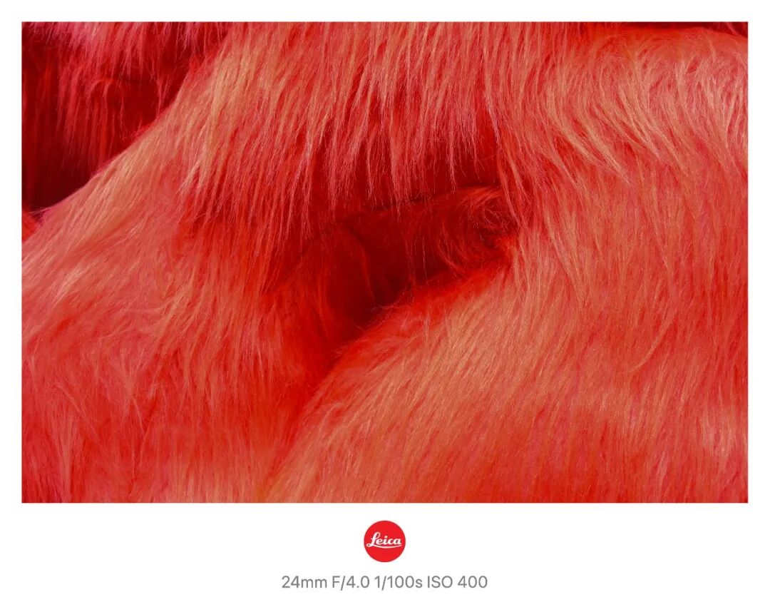 器材党 | 徕卡为何是我记录年味的心头好？插图8