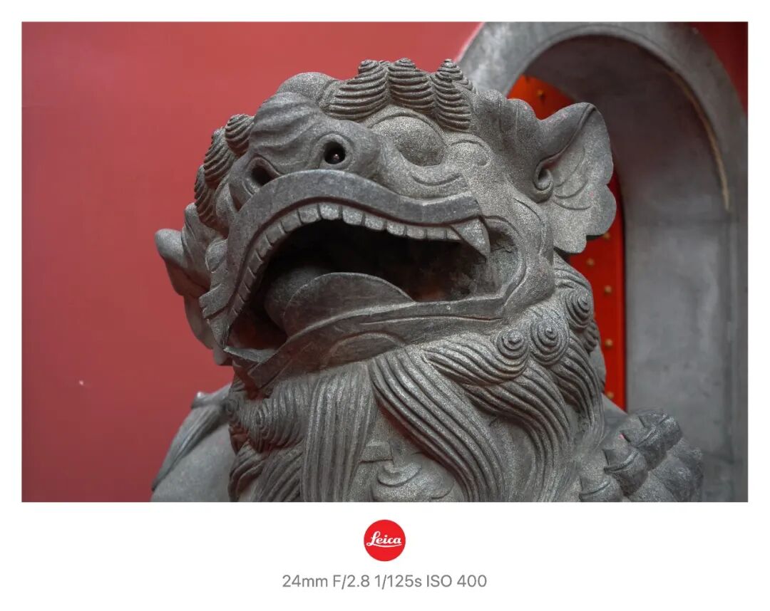 器材党 | 徕卡为何是我记录年味的心头好？插图2