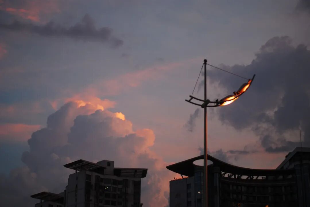 器材党 | CCD 色彩：尼康 D80，我终于找到了徕卡 M9 的平替！插图12