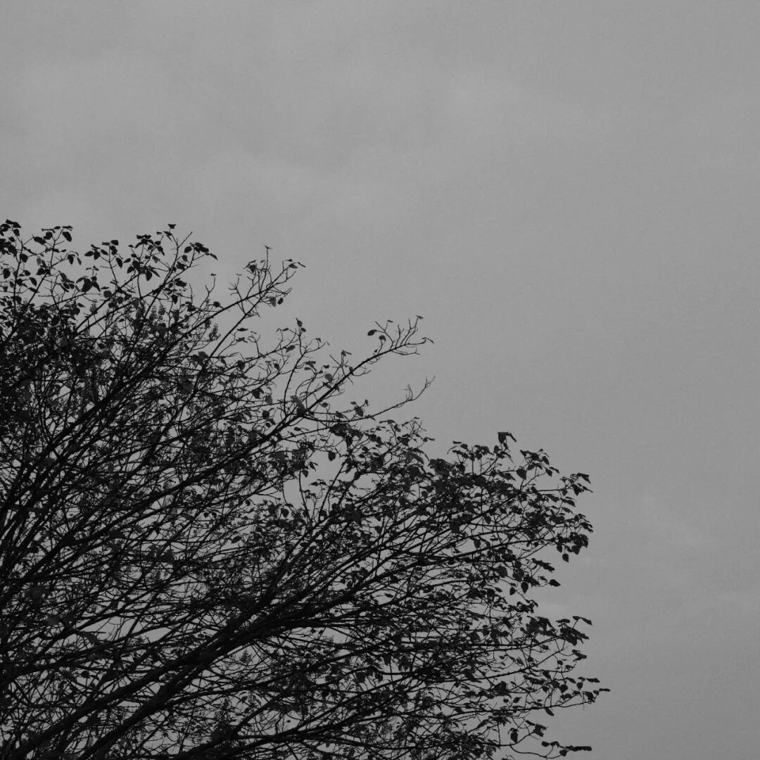 胶片漫谈 | 自从用上了富士ACROS胶片模拟，我再也不想洗黑白胶卷了！插图13