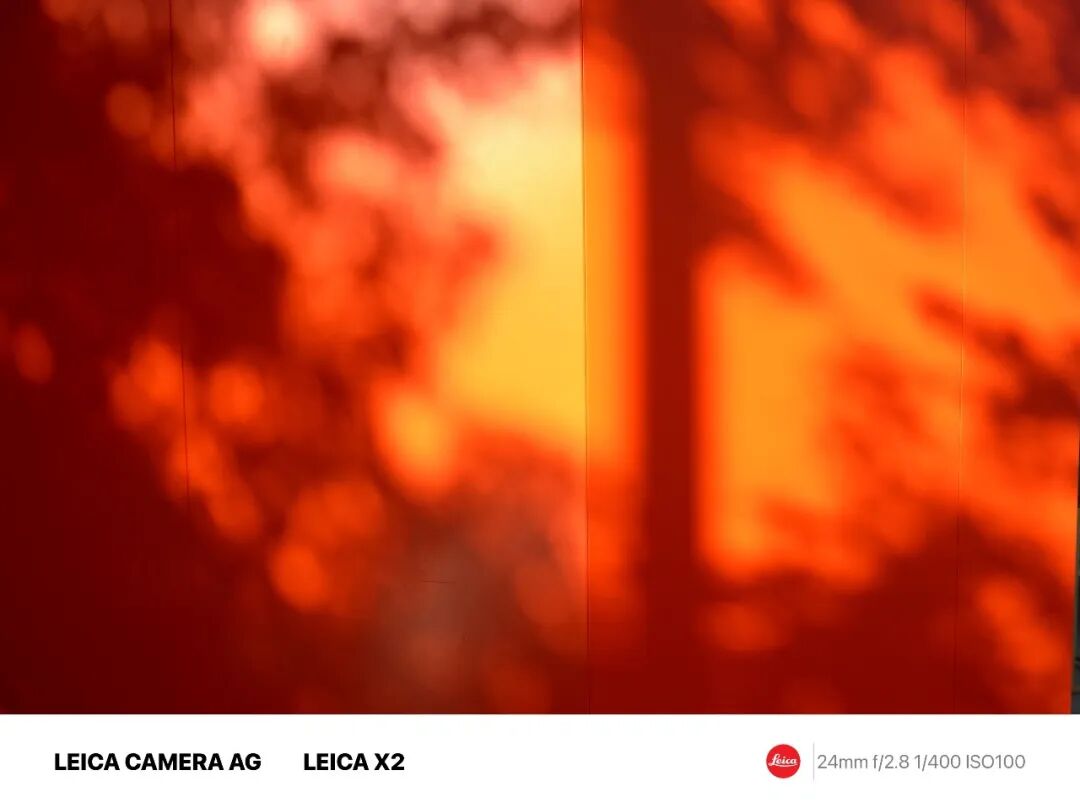 摄影漫谈 | 摄影，到底要不要讲究构图好看？插图7