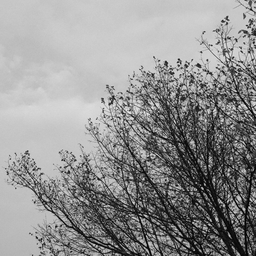 胶片漫谈 | 自从用上了富士ACROS胶片模拟，我再也不想洗黑白胶卷了！插图