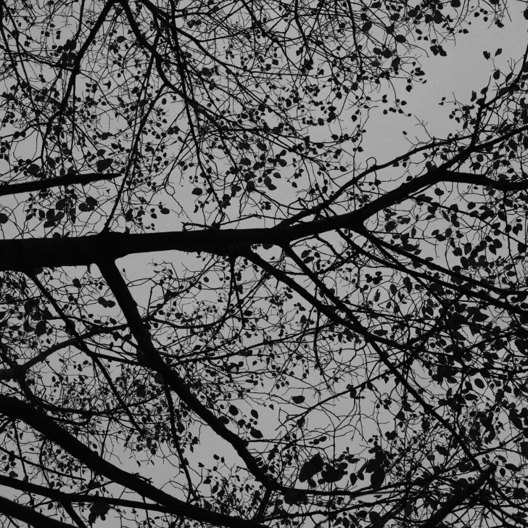 胶片漫谈 | 自从用上了富士ACROS胶片模拟，我再也不想洗黑白胶卷了！插图15