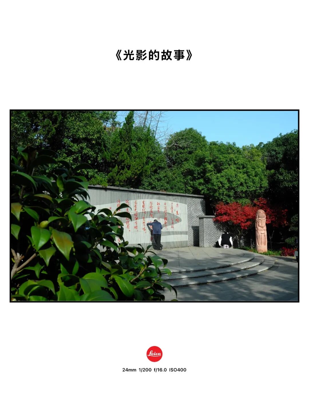 摄影漫谈 | 徕卡的色彩是个玄学吗？插图7