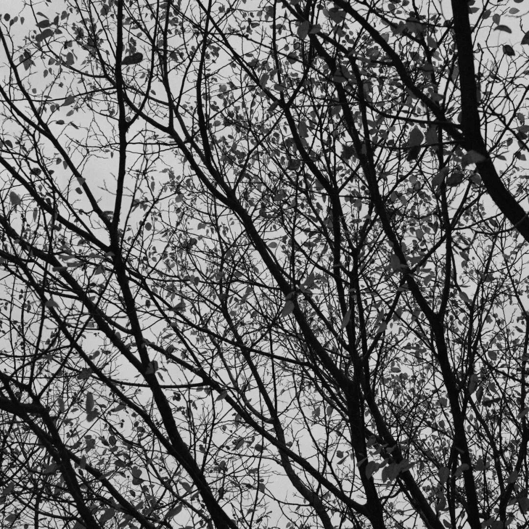 胶片漫谈 | 自从用上了富士ACROS胶片模拟，我再也不想洗黑白胶卷了！插图1