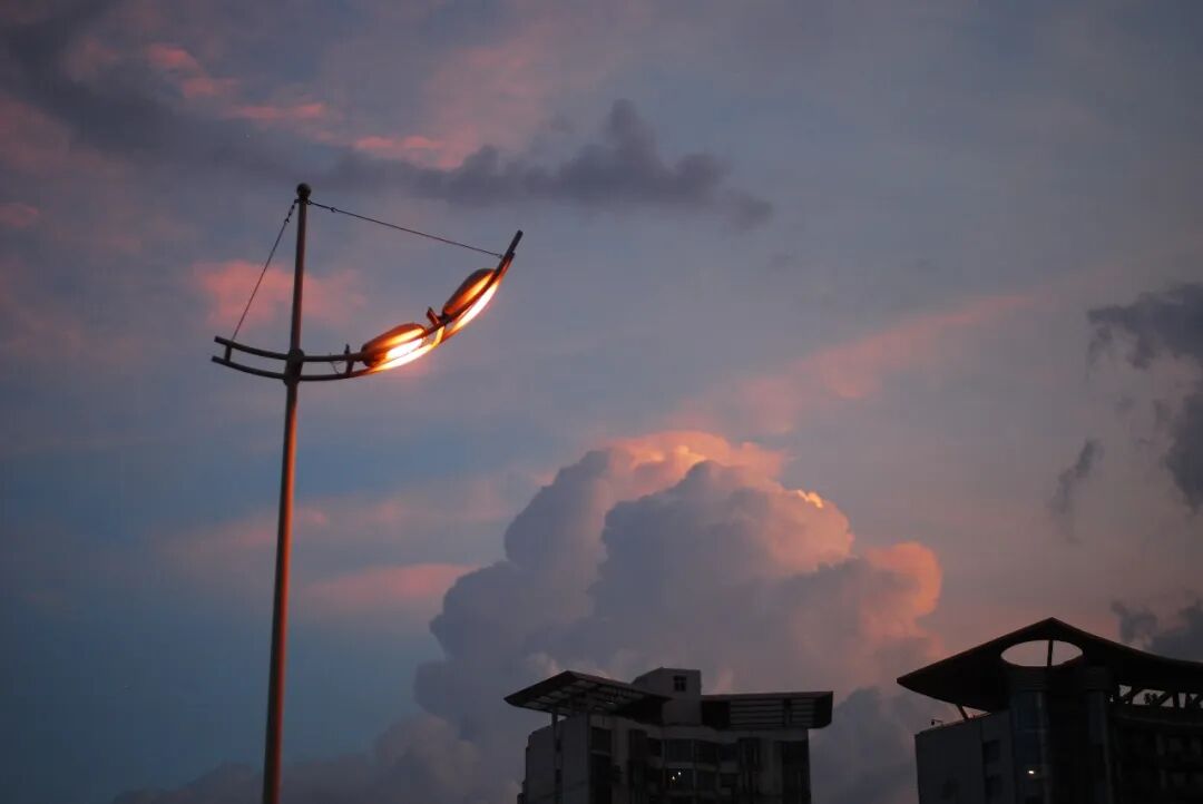 器材党 | CCD 色彩：尼康 D80，我终于找到了徕卡 M9 的平替！插图